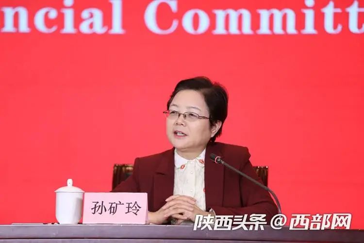陕西省委农办主任孙矿玲:全面推进乡村振兴 陕西重点做好七个方面工作