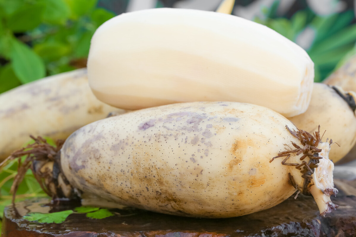 买莲藕时切记分清7孔和9孔有的脆有的糯做菜时不能乱用