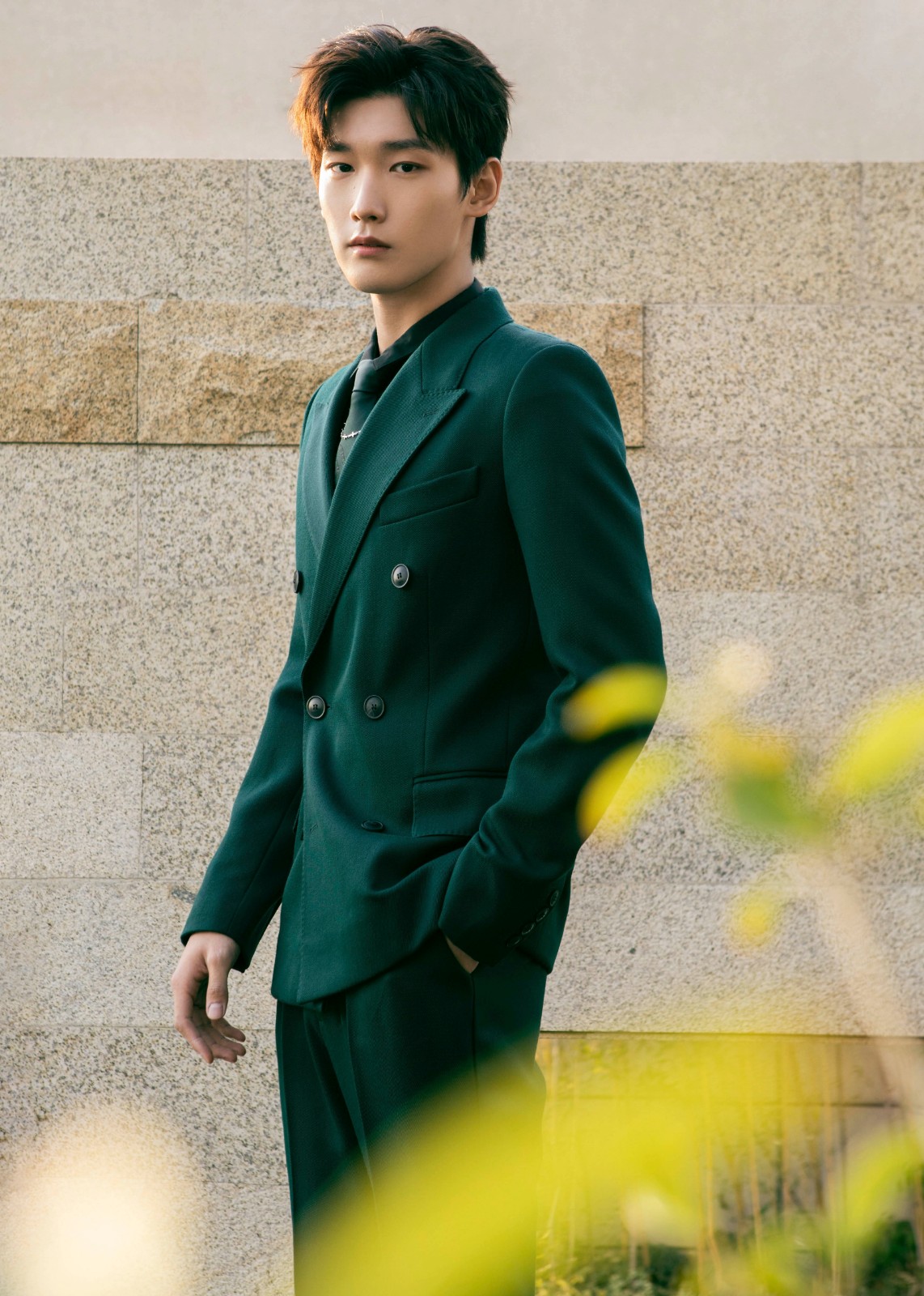 邢昭林,星光大赏