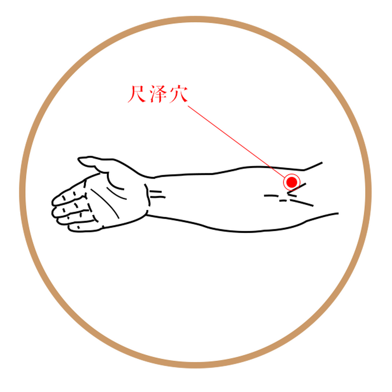 倪海厦：一篇文章学会补泻手法，两个故事讲解肺经的虚实治疗