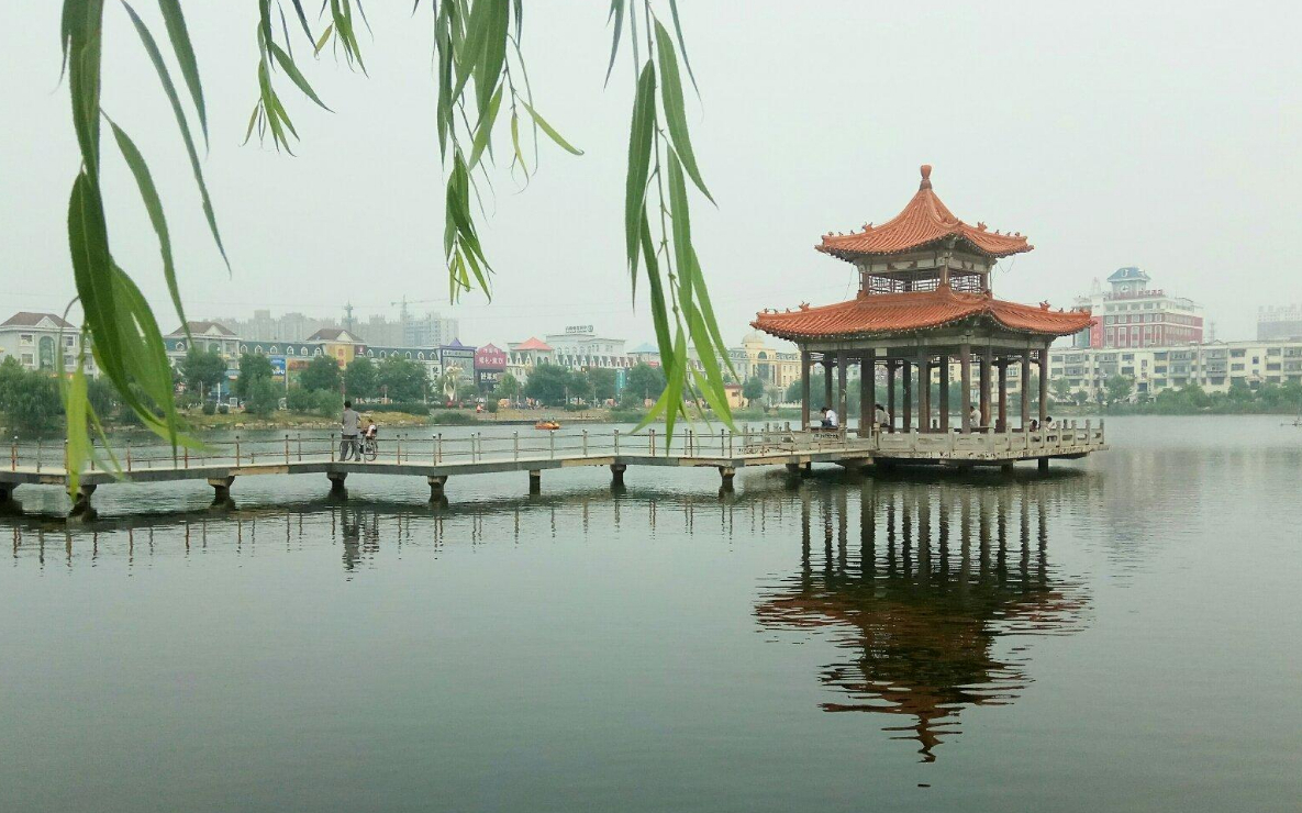 曹县,百强县,山东,菏泽,北上广