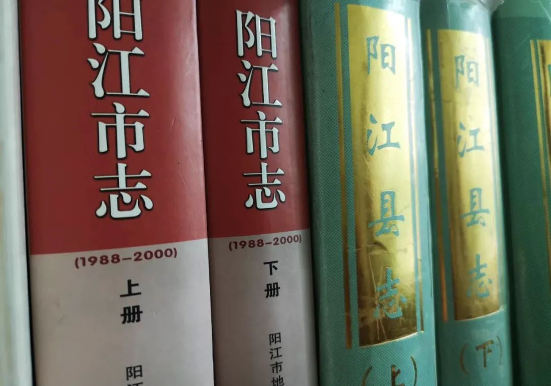 深情怀念阳江"太史公"林耀棠