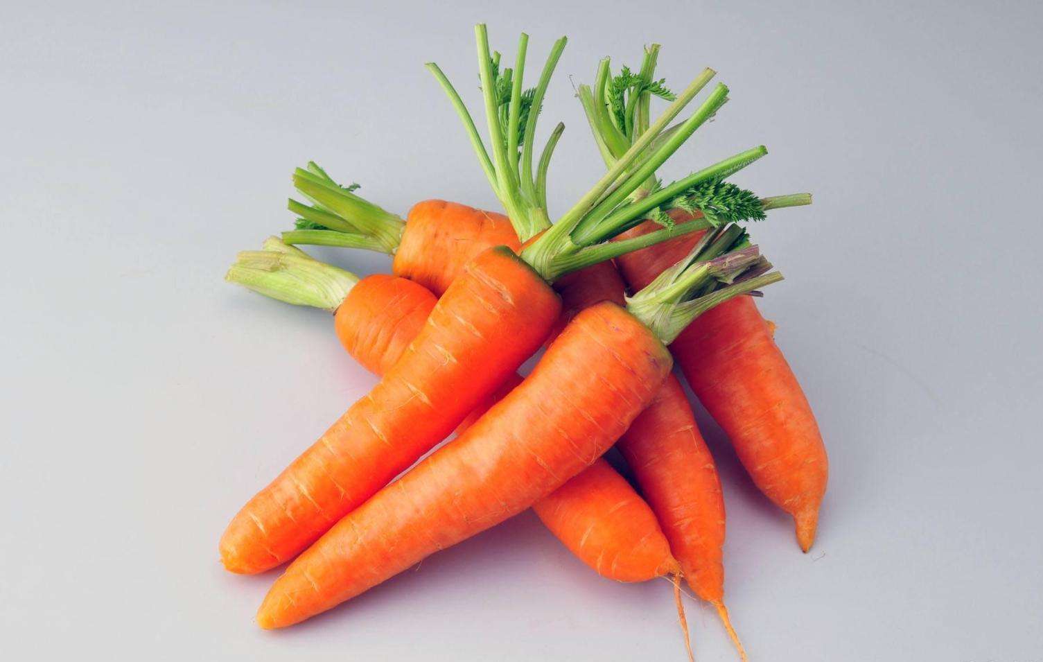 化疗后十大最佳食品_升白细胞的食物