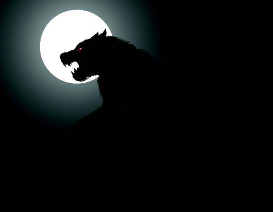 只狼:影逝二度,狐狸