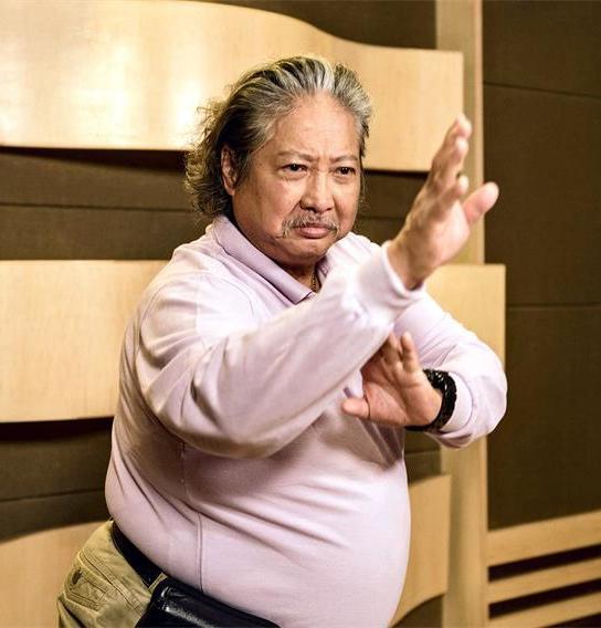 林雪晒17岁旧照，网友感慨认不出，这5个胖子明星年轻时竟这么瘦