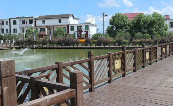 蒋巷镇:不断向"有序,有人,有法"方向大转变