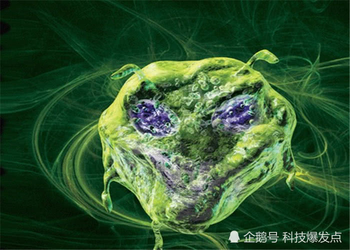 地球,生命体,科学家,宇宙