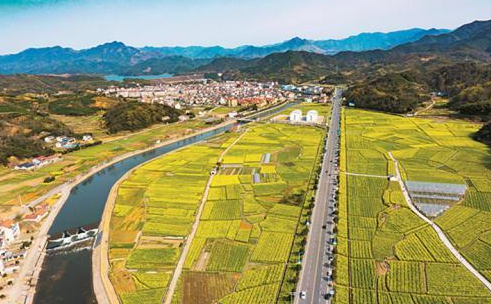 县级市,浙江省,诸暨市,浙江,香榧森林公园,大陆,绍兴