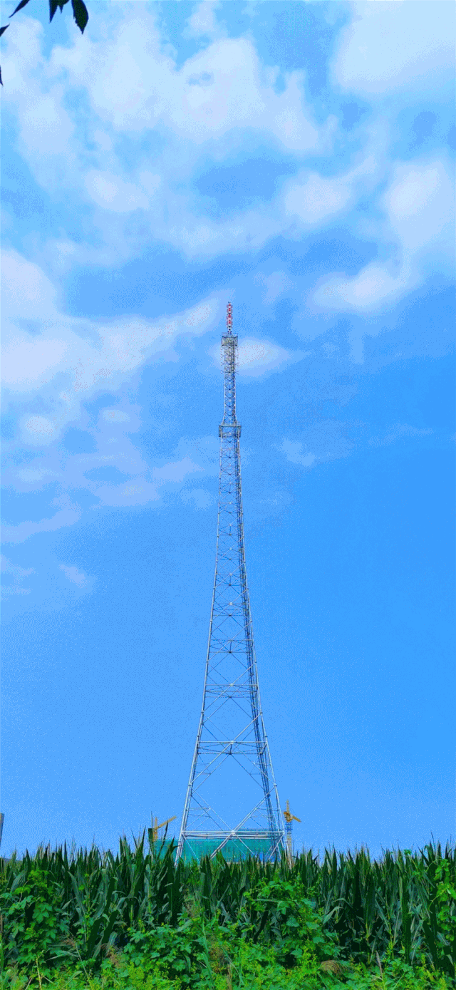 地面数字电视