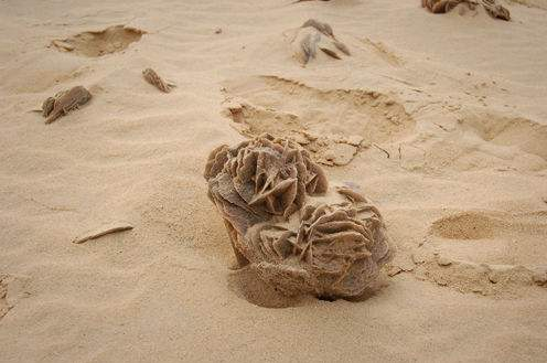 沙漠中这种"石头"非常珍贵,不捡亏大了,驴友:千万别错过