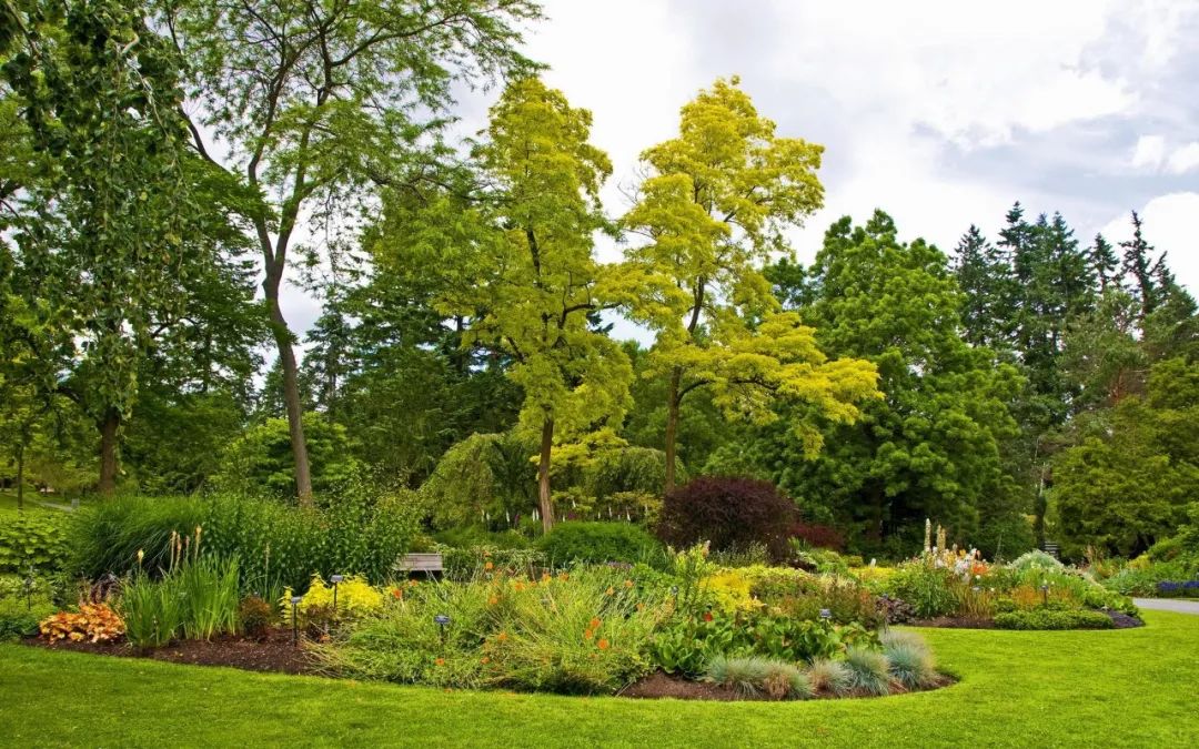 苗木,绿化苗木,苗圃,乡土树种,树种