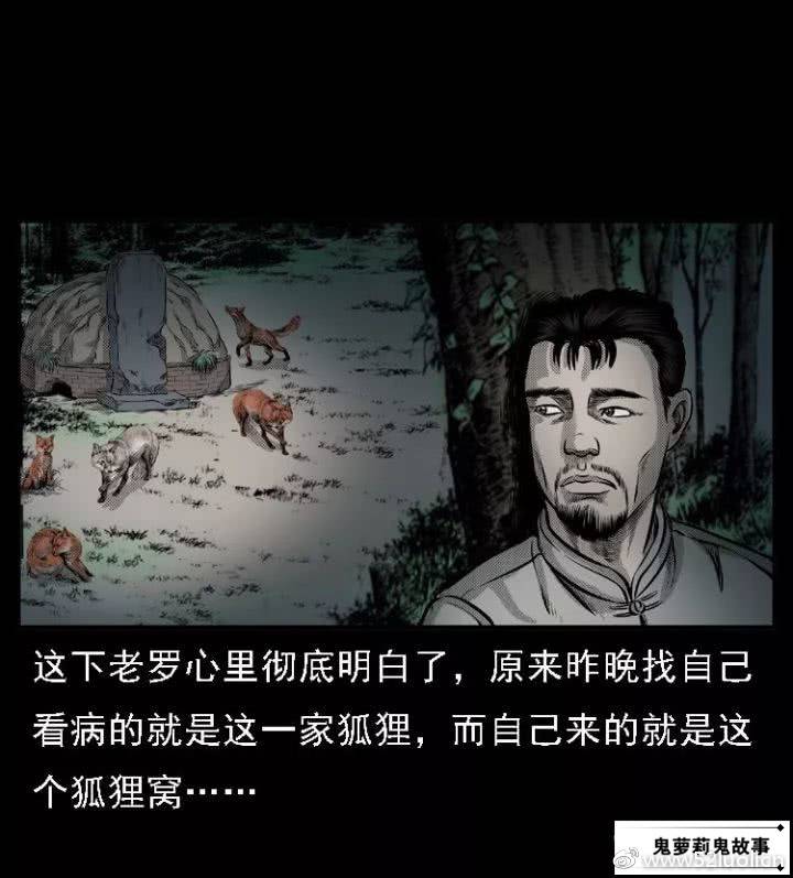 ����������֮�й���ʵ¼���ҽ��2