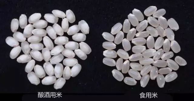 准备入手清酒?别急,先看看这个 准备入手清酒?别急,先看看这个