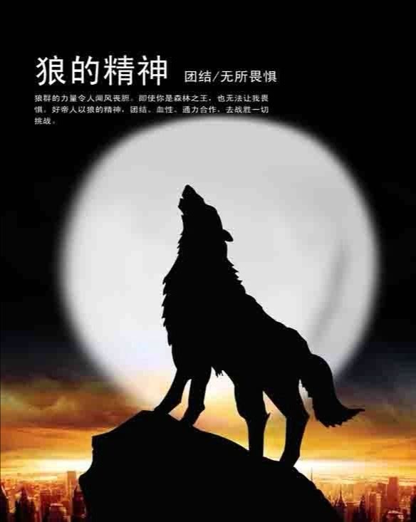狼文化与精神_三光荣精神地勘文化_亮剑精神狼性团队