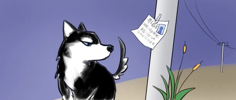 二哈为什么又叫撒手没?