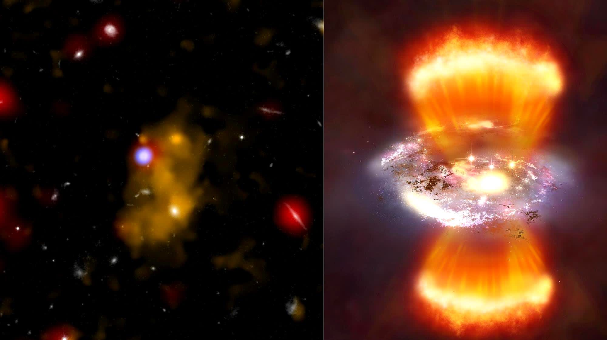 0?fmt=jpg&size=78&h=1122&w=2000&ppv=1