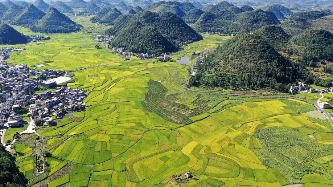 贵阳市,规定(草案),贵阳,吐痰,贵州,今日关注,文明城市,随地吐痰,高空