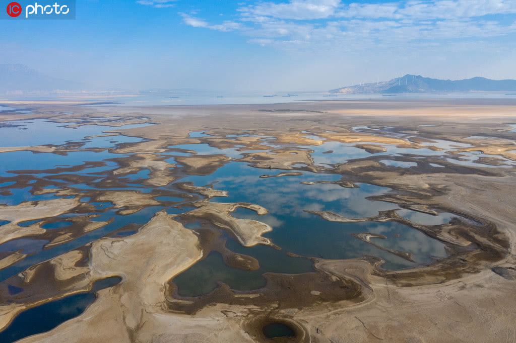 江西鄱阳湖干旱持续 湖底龟裂芦荻盛开
