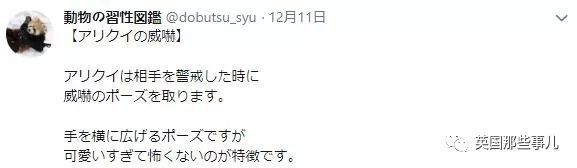 6park Com 喵星人为啥吐舌头 北极熊干嘛遮住小鼻子 它们这些习性蜜汁可爱啊