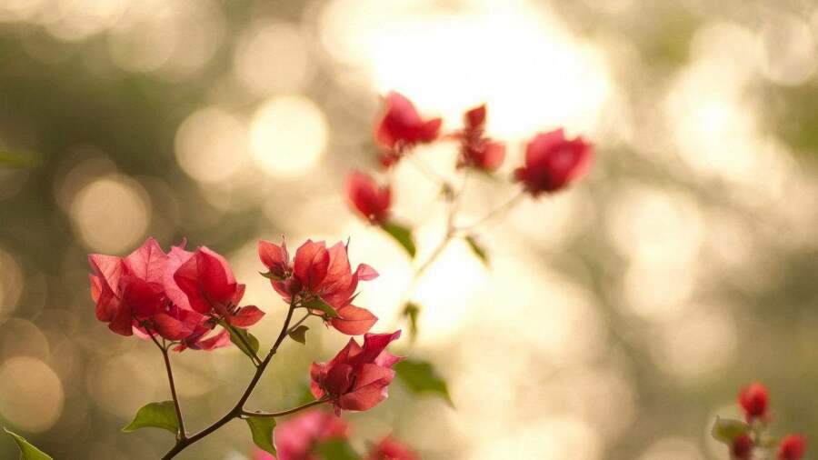 11月号后 珍惜当下 感恩生活 喜欢顺其自然的五位星座