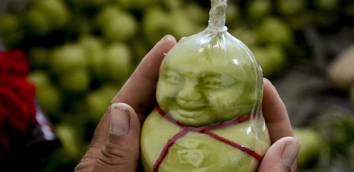 东北种植人参果_东北人工种植人参价格_东北鹿茸人参