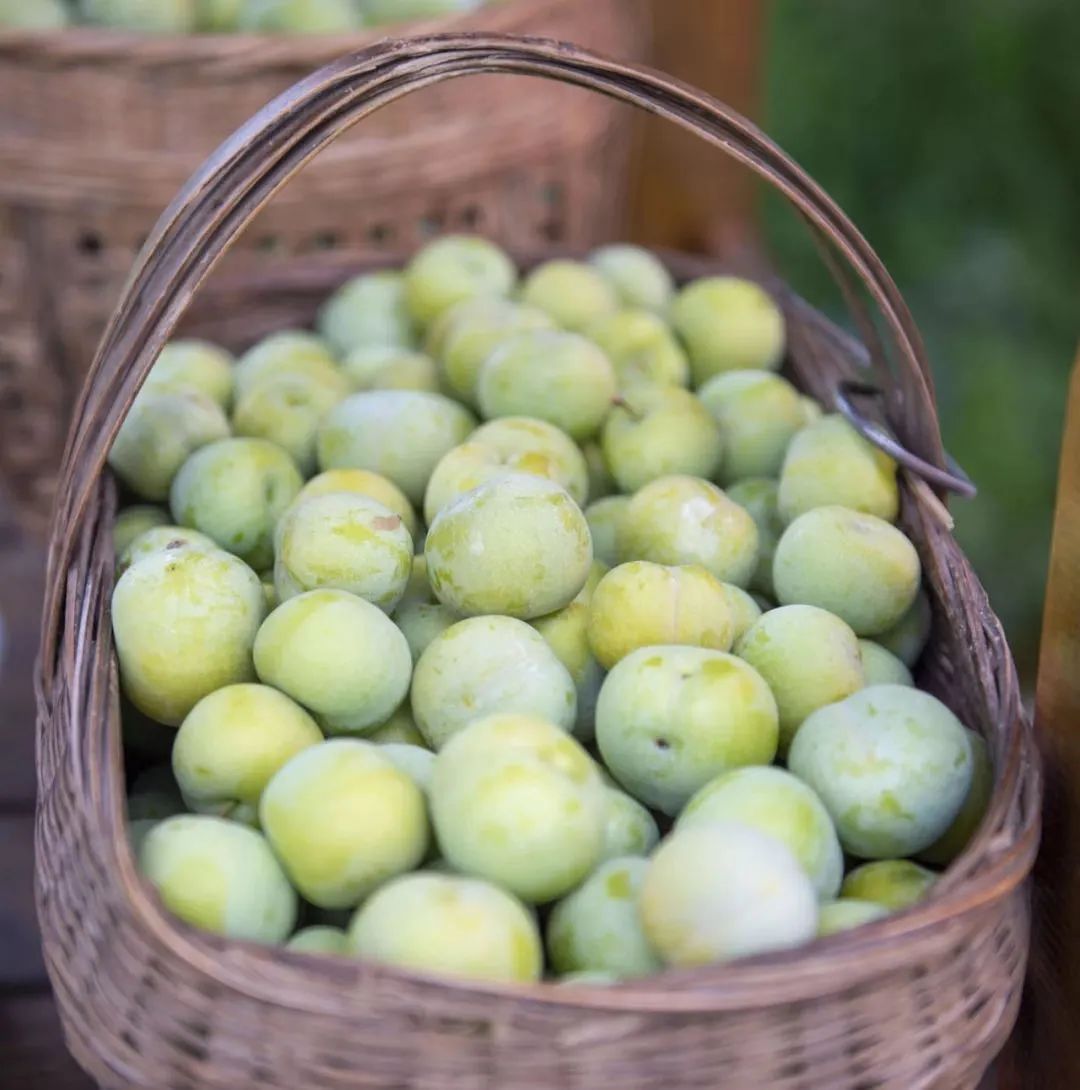 玩转彭州葛仙山 您不得不了解的那些事