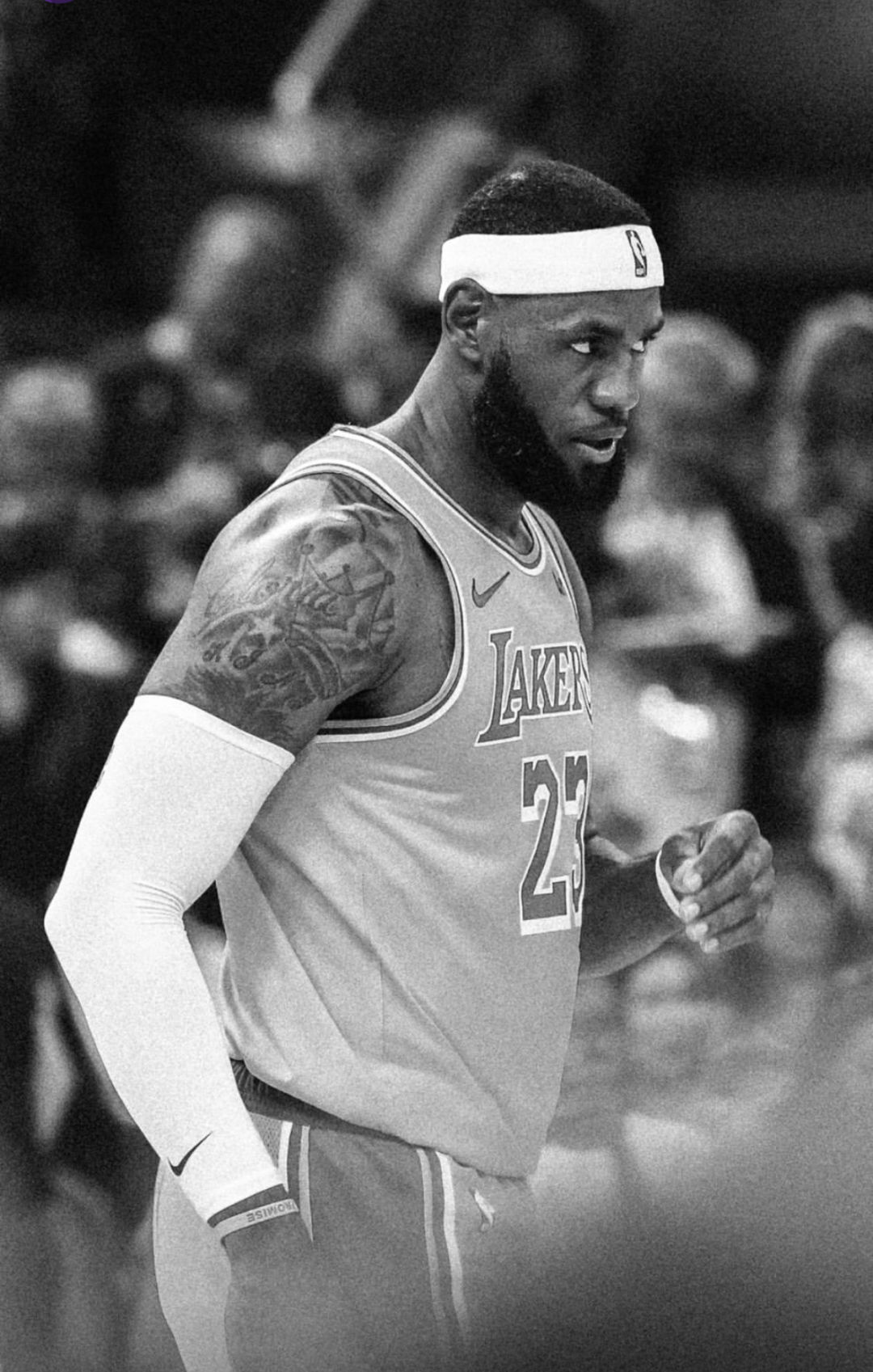 史蒂文斯,詹姆斯,勒布朗·詹姆斯,湖人,开拓者