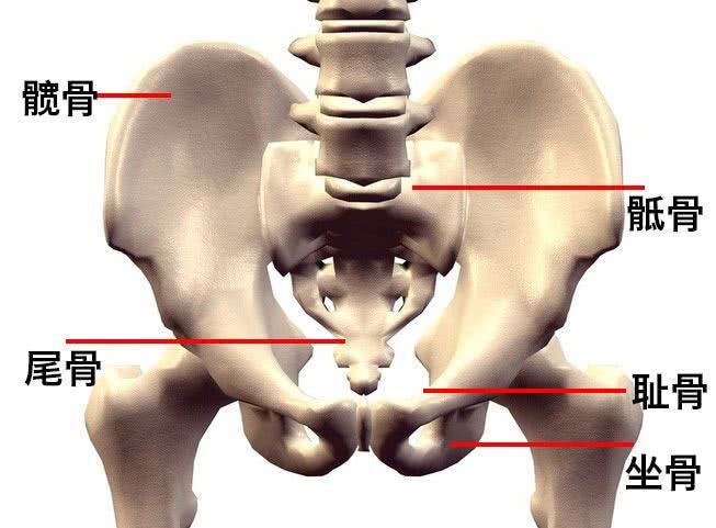 女性骶骨疼痛是为什么呢 会影响生育吗