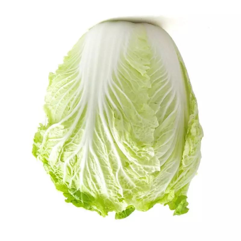 大白菜不包心怎么办?做好下面4点,白菜长的好,菜心白!