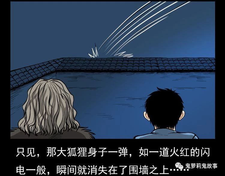 ��51��  �����ɹã�