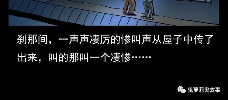 ��51��  �����ɹã�