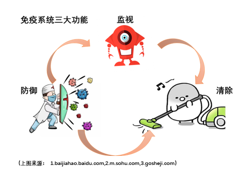 肿瘤细胞想形成肿瘤,必须得使用浑身解数去逃避免疫系统的监视.
