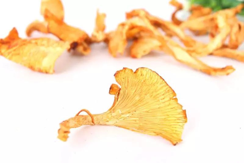 【当季美味】聪明的吃货,是不会放过这些菌菇的! 【当季美味】聪明的吃货,是不会放过这些菌菇的!