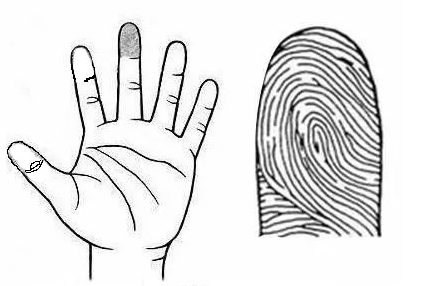 心理学:你中指的指纹是哪种形状?测出你会啥时候结婚,准爆了