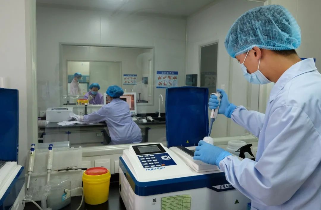 核酸检测,新冠病毒