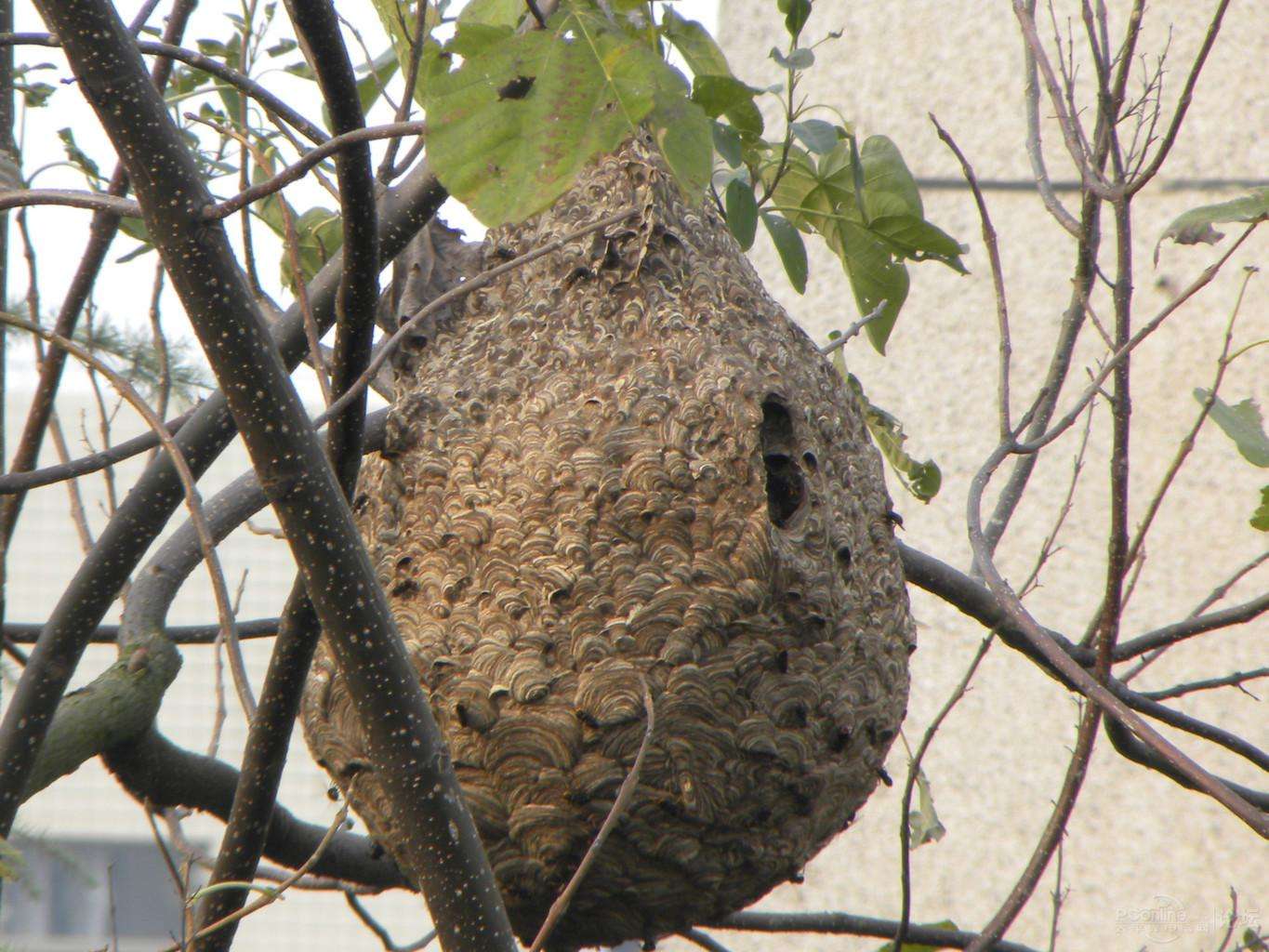 马蜂窝长沙(马蜂窝长沙旅游攻略)