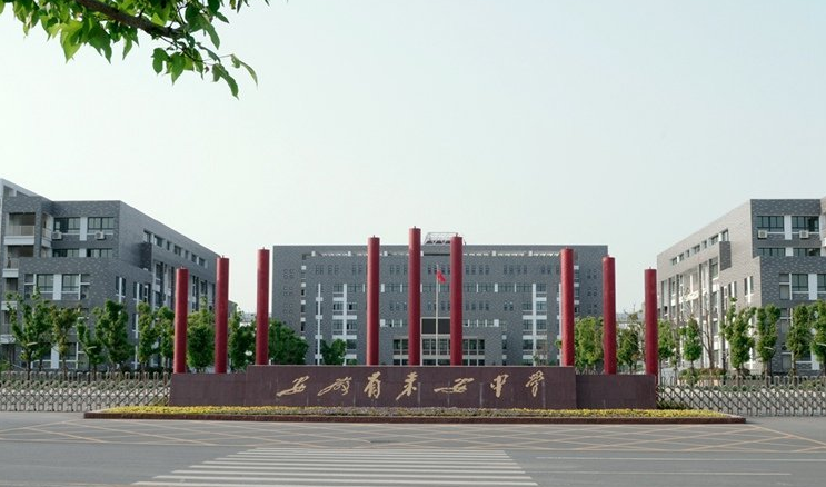 校长,保安,流浪猫,校园,来安县,虐杀,阿黄,流浪动物,流浪狗,安徽