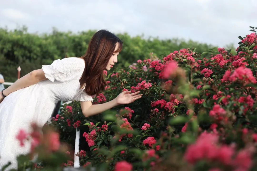 秋天赏花说说发朋友圈(赏花发朋友圈的简短一句话秋天)