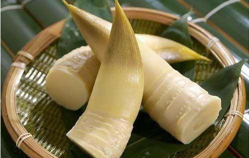 老外困惑 为何竹笋在中国如此受欢迎 日本人的回答 让人笑喷