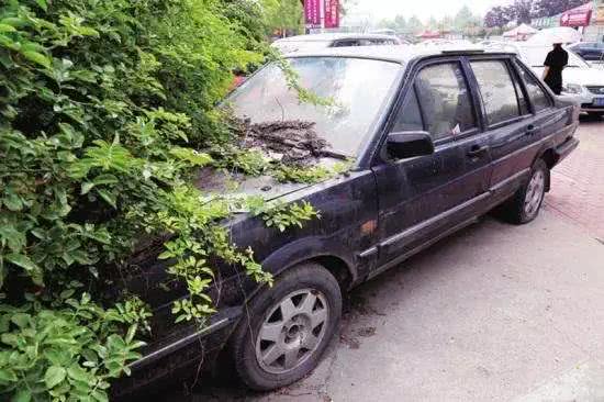 "僵尸车"遍地都是,为啥丢掉都不报废?老司机:我不缺心眼