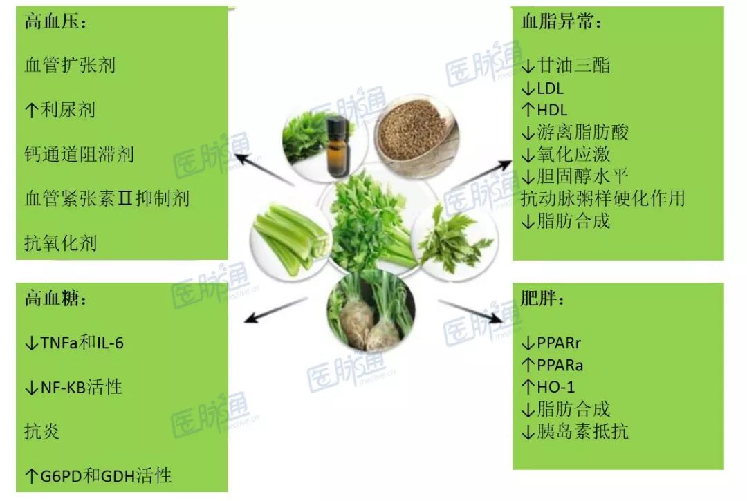 萝卜素丸子_倍他胡萝卜素胶囊的说明书_素萝卜馅包子的做法
