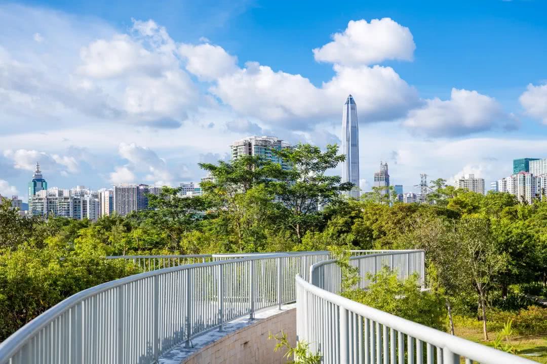 500万人离深回家了!过完年,你还会回来吗?