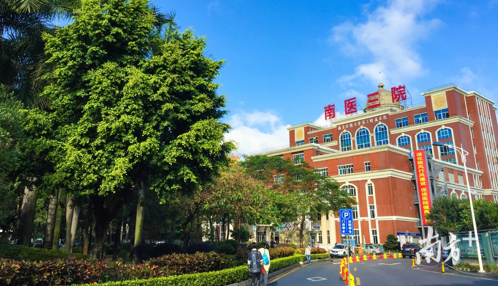 蔡道章,南方医科大学