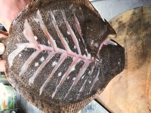 厨艺刀工:柳叶花刀的切割步骤