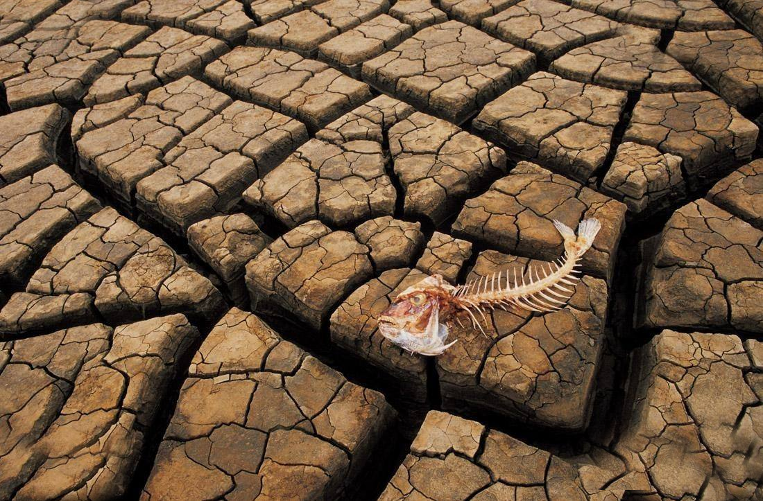 干旱,地球,超级干旱,卫星数据,降雨,欧洲,气候变暖