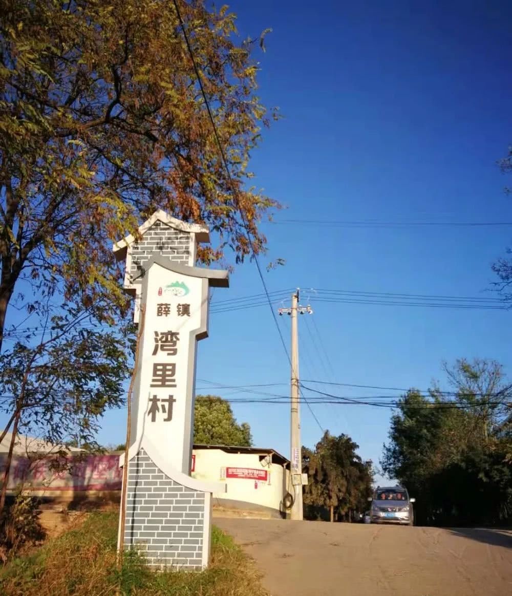 富平薛镇的雷秀云谁认识?被电视台报道,这下出名了!