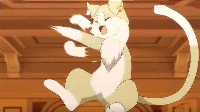 夏目友人帐,友人帐,浦饭幽助,魔法少女小圆,甜甜私房猫,棉花糖,帕克