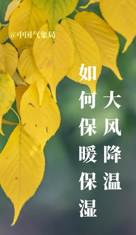 大风降温一波接一波,九张图告诉你如何保暖保湿