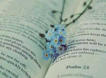 统编教材和部编教材有什么区别？