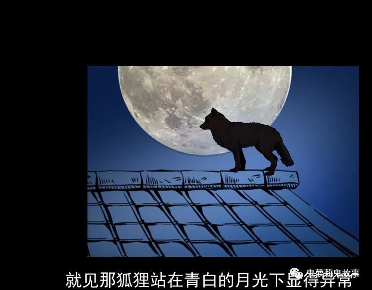 ��51��  �����ɹã�